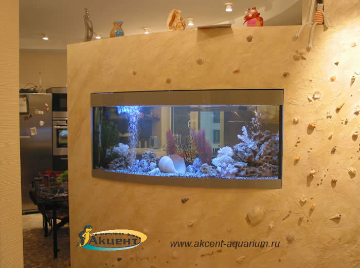 Акцент-аквариум, аквариум 270л с гнутым передним стеклом просмотровый вид со стороны комнаты